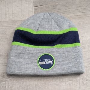 Seattle Seahawks Grey Winter Hat.  Great condition